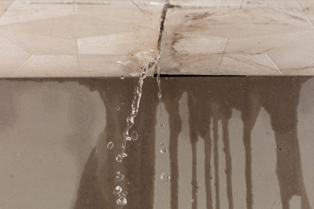Professional Water Damage Repair technician working in Port Angeles, WA